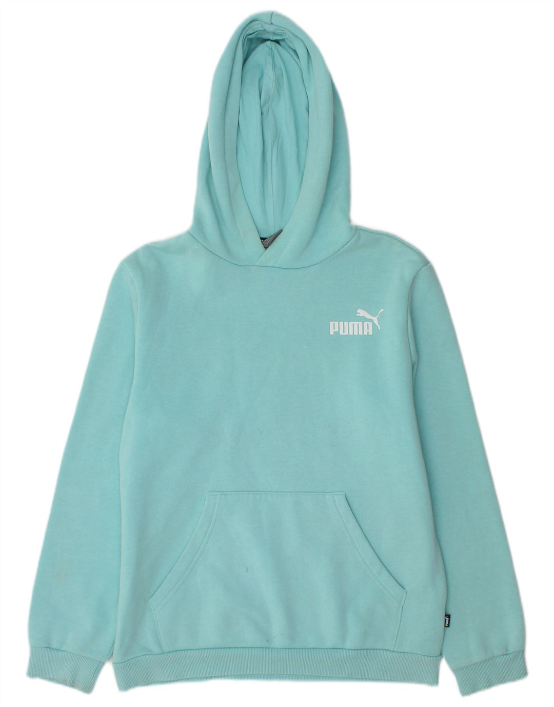 Puma Boys Hoodie Jumper 13-14 Years Blue Cotton