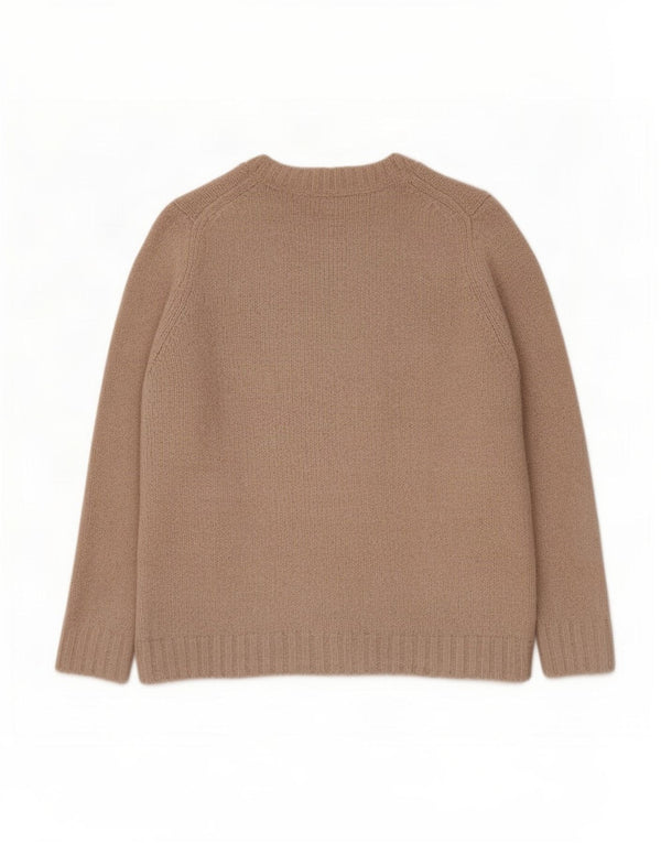 Zara Womens Graphic V-Neck Jumper Sweater UK 16 Large Beige Butterfly