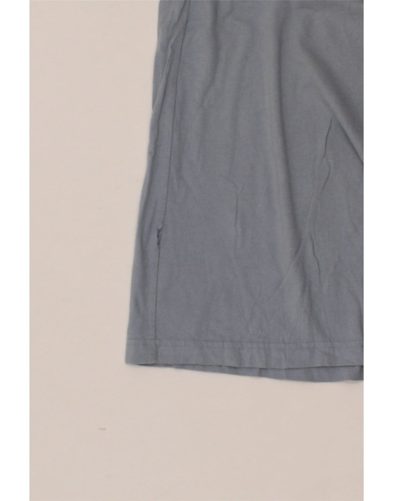 PENGUIN Mens Graphic T-Shirt Top XL Blue Cotton Vintage Penguin and Second-Hand Penguin from Messina Hembry 