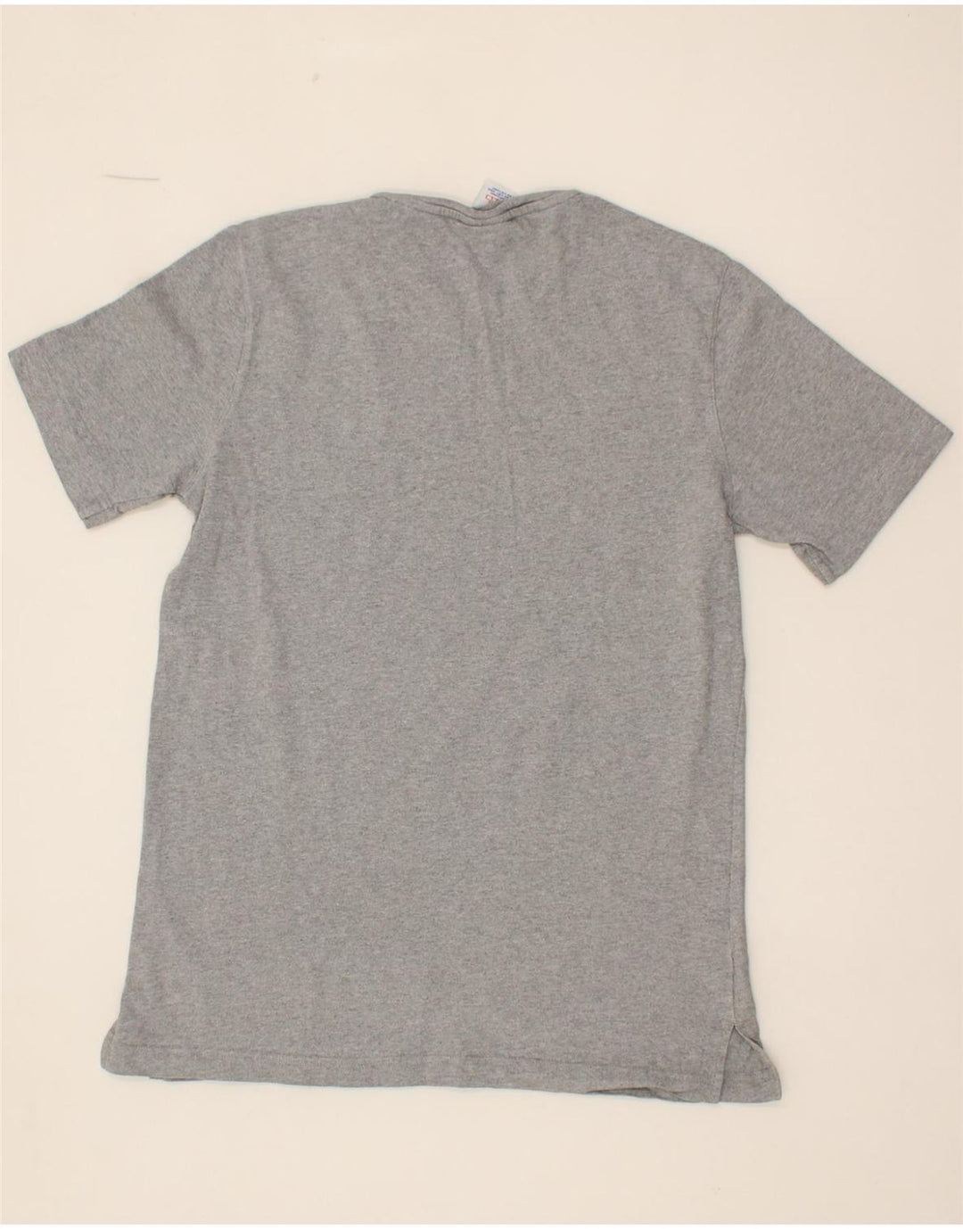 CHAMPION Mens T-Shirt Top Medium Grey Vintage Champion and Second-Hand Champion from Messina Hembry 