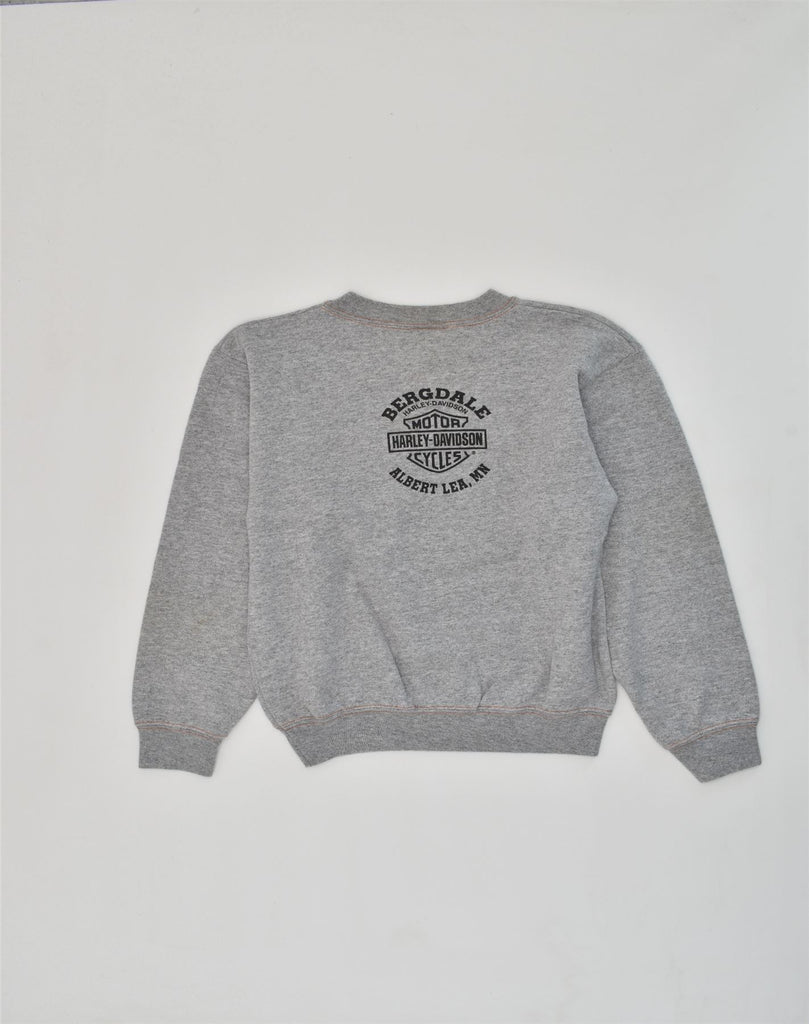 HARLEY DAVIDSON Boys Graphic Sweatshirt Jumper 12-13 Years Medium Grey | Vintage Harley Davidson | Thrift | Second-Hand Harley Davidson | Used Clothing | Messina Hembry 