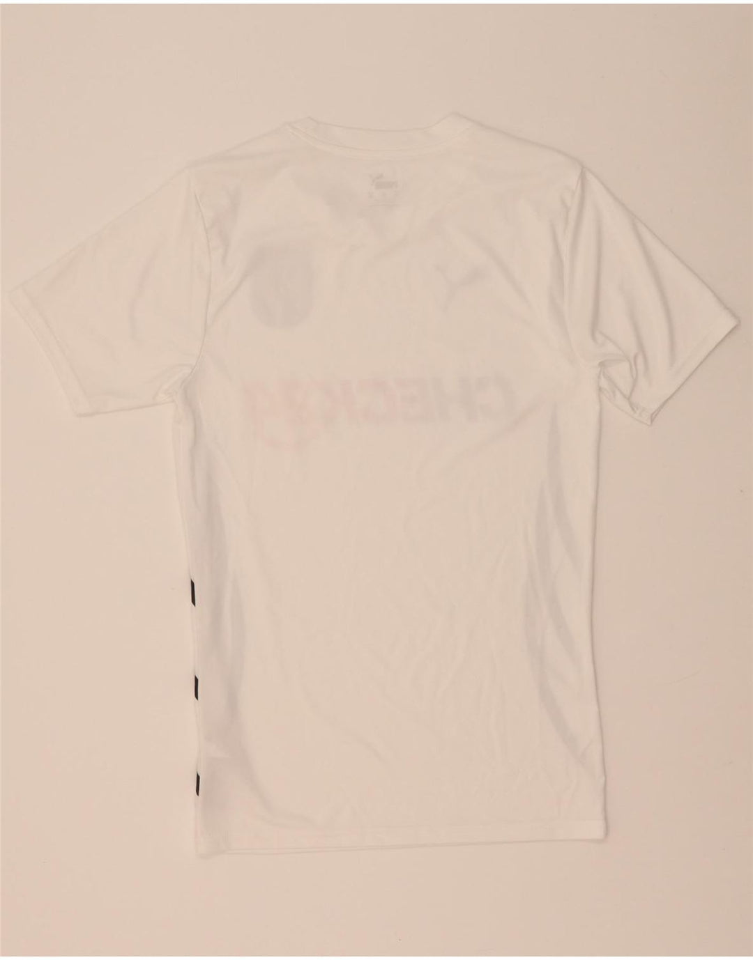 Puma Mens Deutshland Graphic T-Shirt Top XS White Polyester