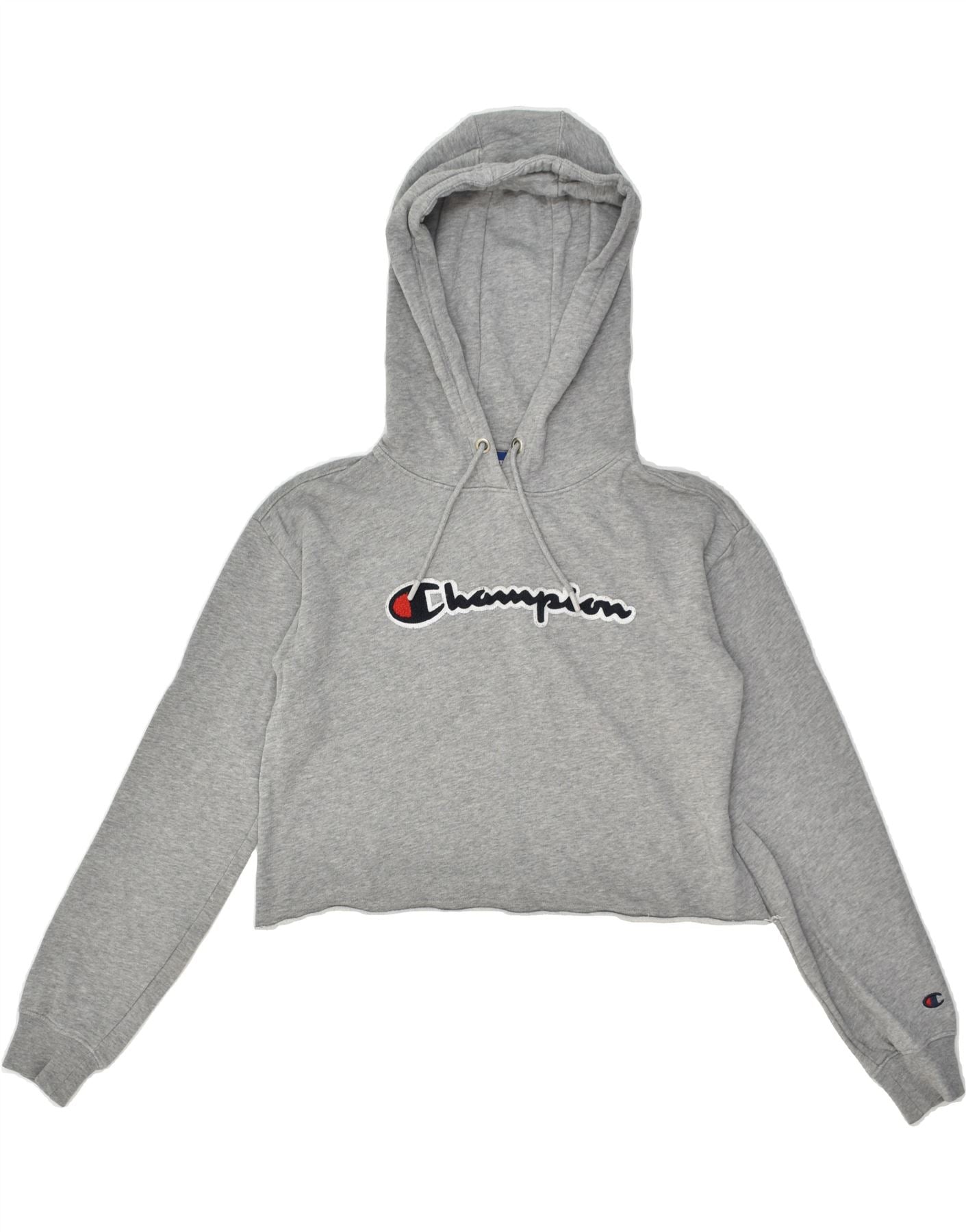 Champion oversized hotsell hoodie grey