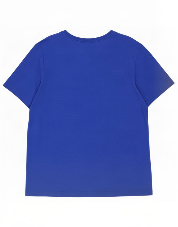 Nike Mens Graphic T-Shirt Top XL Blue