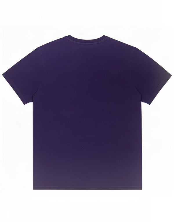 Champion Mens Graphic T-Shirt Top Medium Navy Blue