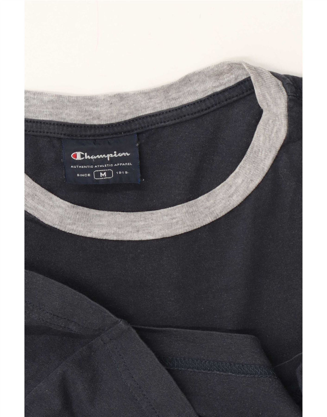 Champion Mens Graphic T-Shirt Top Medium Navy Blue
