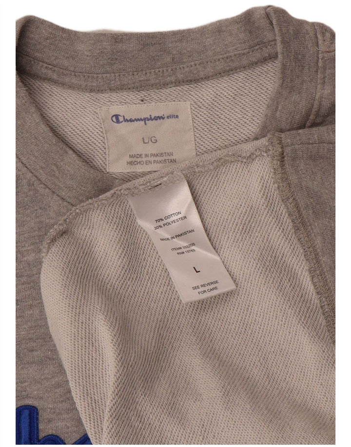 Champion Mens Graphic Sweatshirt Jumper Large Grey Flecked Cotton