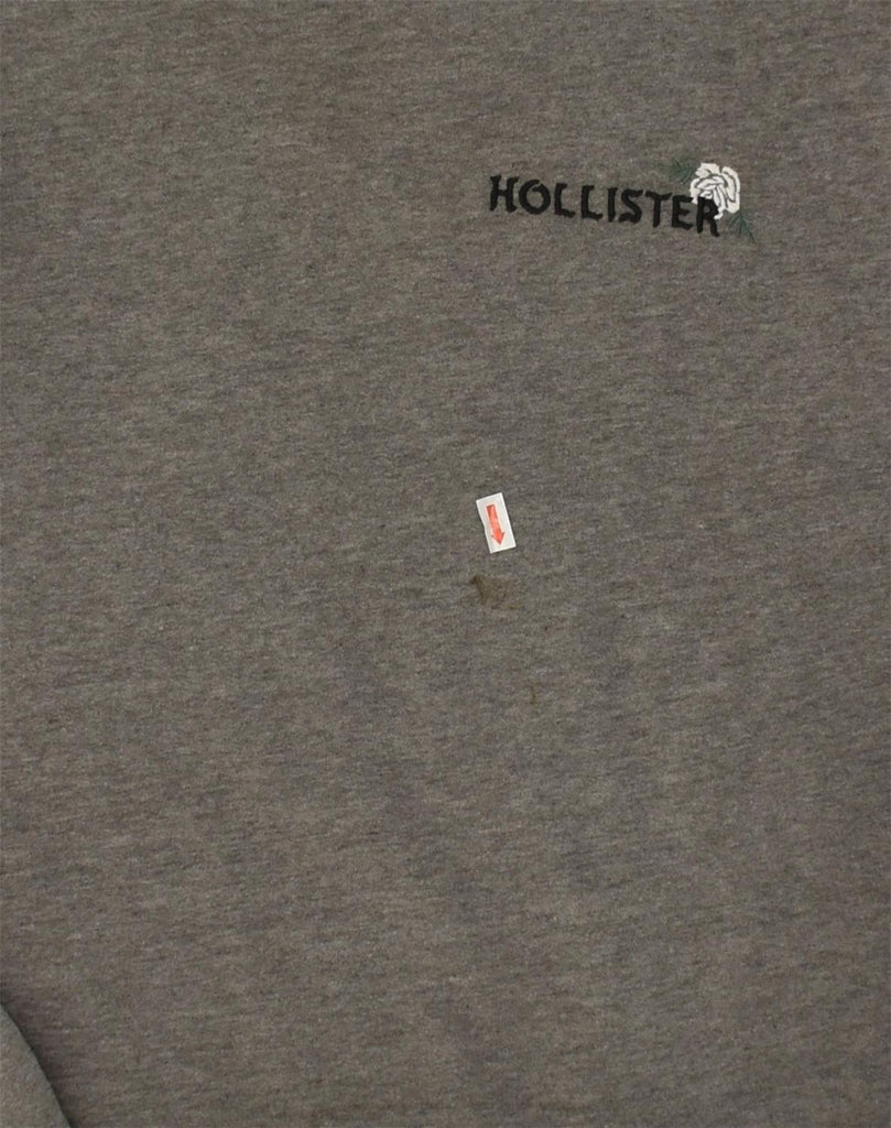 HOLLISTER Womens Graphic Sweatshirt Jumper UK 10 Small Grey Cotton | Vintage Hollister | Thrift | Second-Hand Hollister | Used Clothing | Messina Hembry 