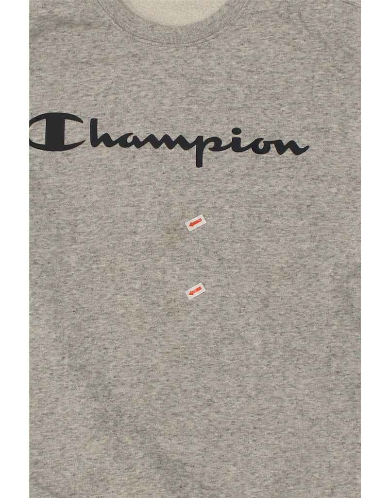 CHAMPION Mens Graphic Sweatshirt Jumper Medium Grey Cotton | Vintage Champion | Thrift | Second-Hand Champion | Used Clothing | Messina Hembry 