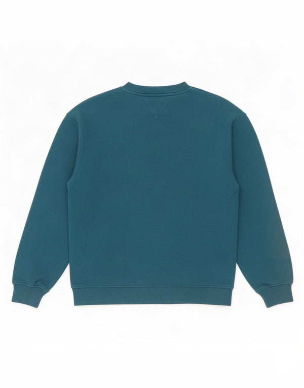 Tommy Hilfiger Boys Graphic Sweatshirt Jumper 15-16 Years Blue Cotton