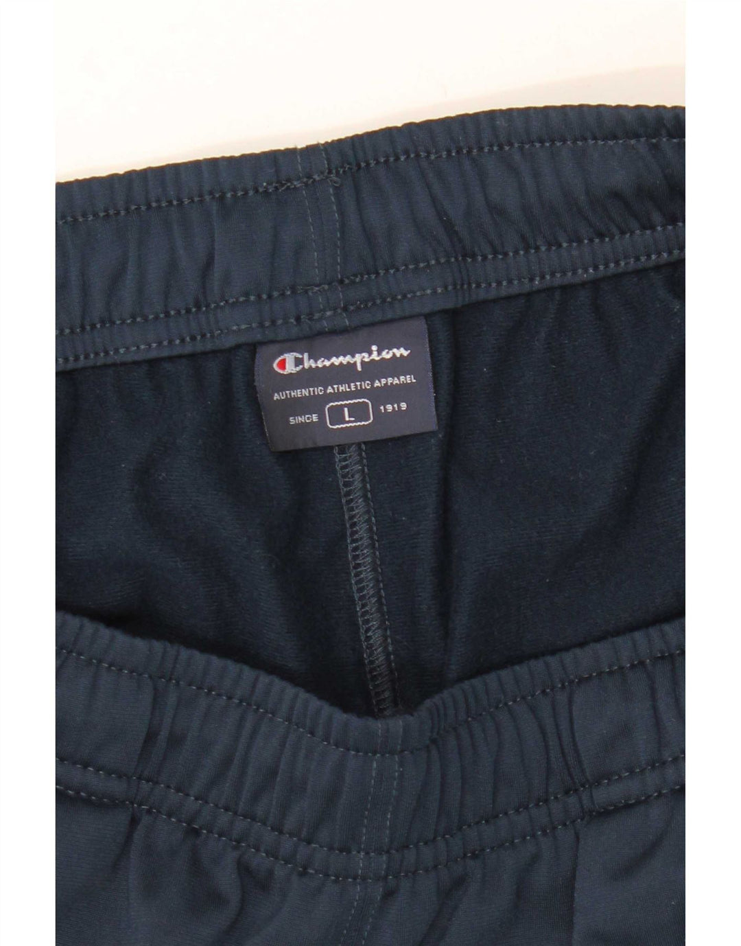 Champion Mens Tracksuit Trousers Large  Navy Blue