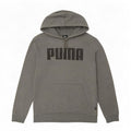 Puma Mens Graphic Hoodie Jumper Small Grey