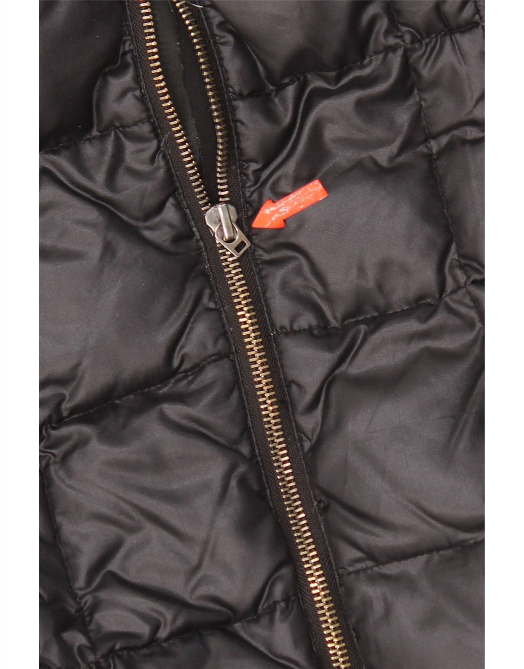 Gas Womens Padded Jacket IT 42 Medium Black Polyamide