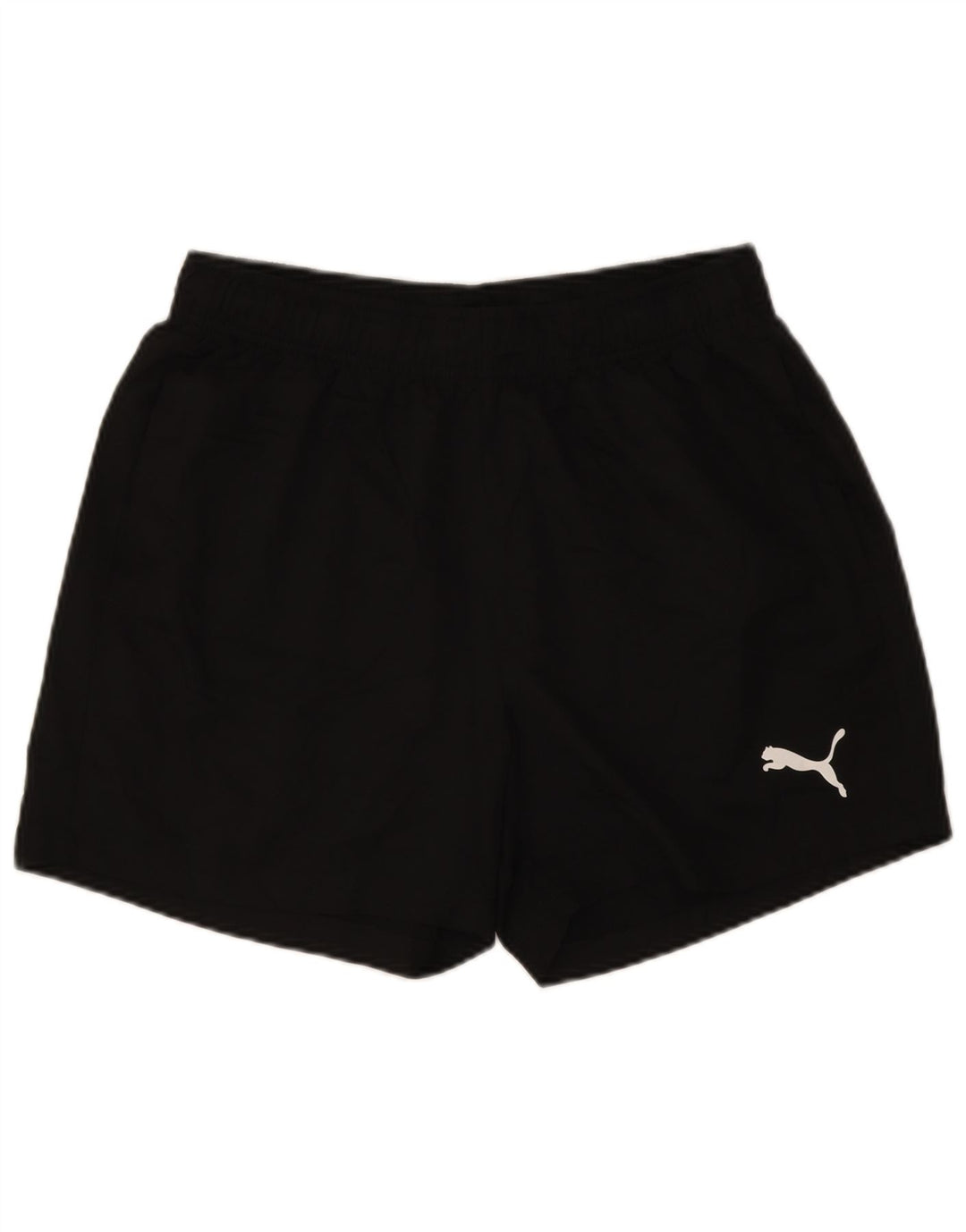 Puma Mens Sport Shorts Large  Black
