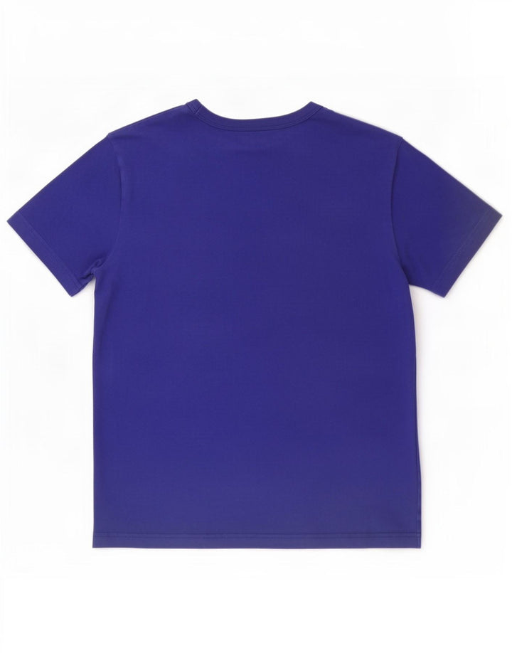Champion Mens Graphic T-Shirt Top Small Blue Cotton