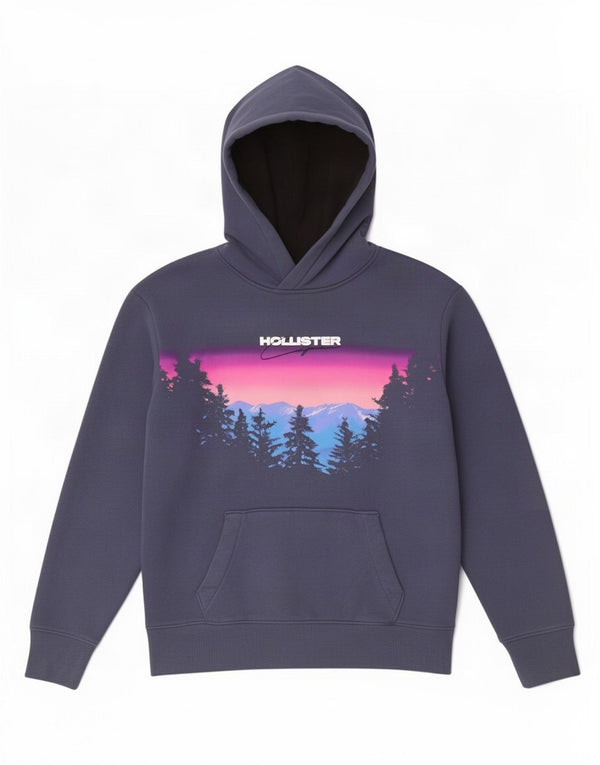 Hollister Mens Graphic Hoodie Jumper Small Navy Blue Cotton
