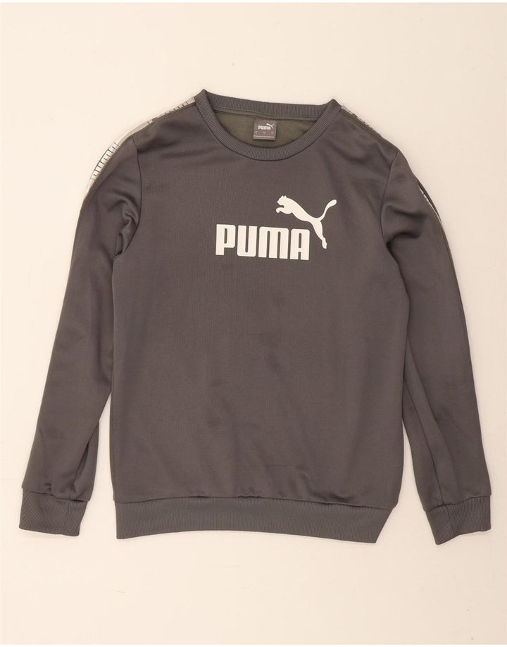 Puma Mens Graphic Sweatshirt Jumper Small Grey Polyester
