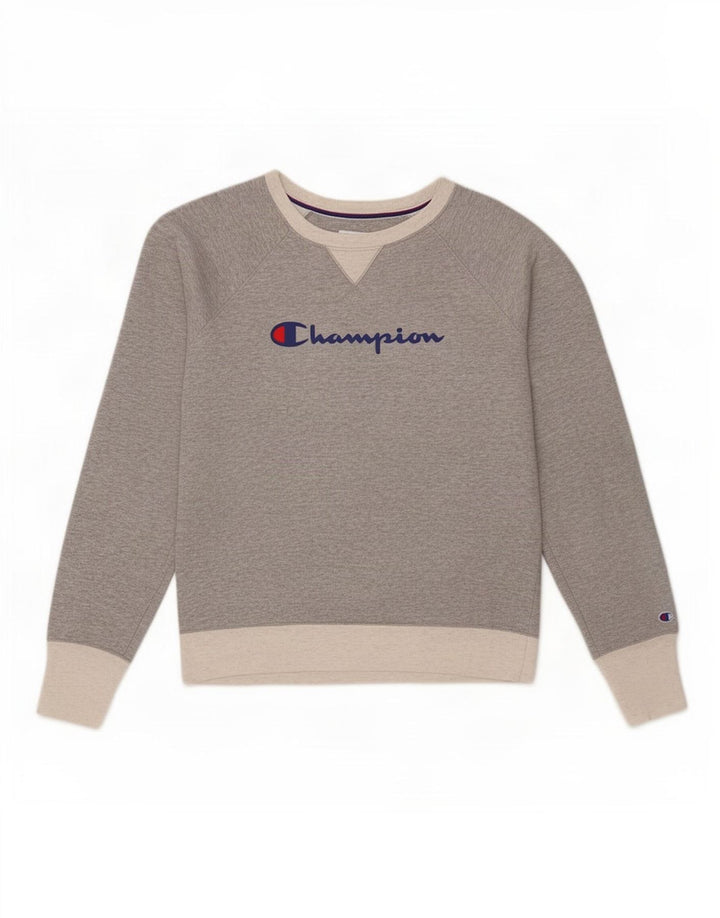 Champion Mens Graphic Sweatshirt Jumper Medium Grey Flecked Polyester