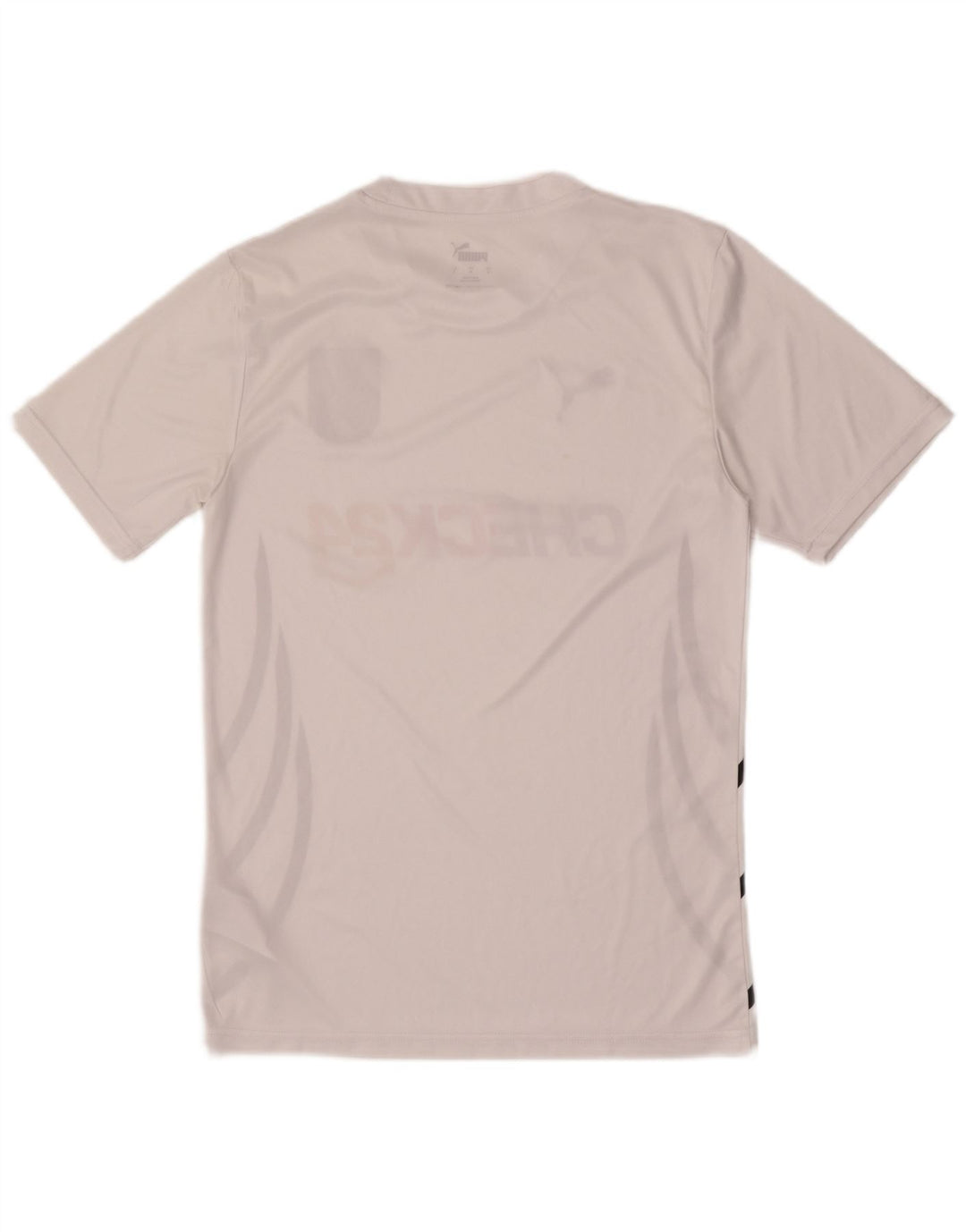 Puma Mens Deutshland Graphic T-Shirt Top Small White Colourblock Polyester