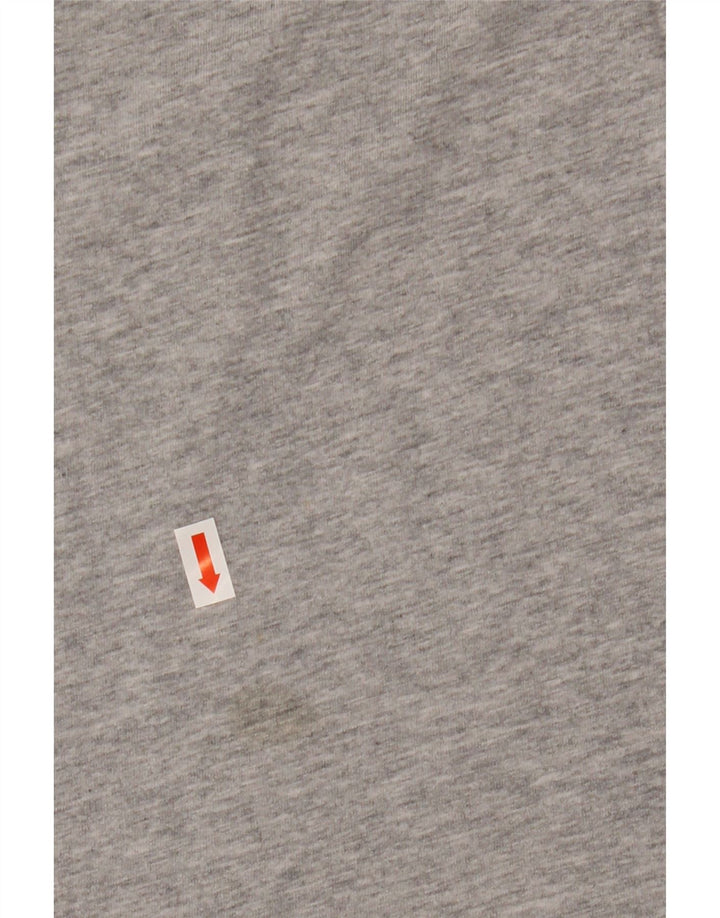 Tommy Hilfiger Mens Graphic T-Shirt Top Small Grey Cotton