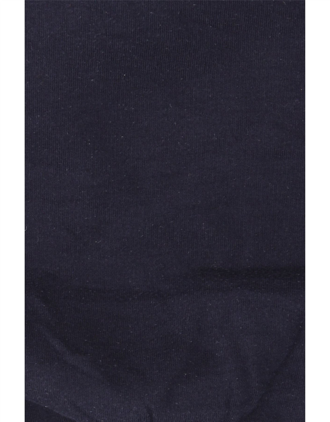 Champion Mens Sweatshirt Jumper XL Navy Blue Cotton