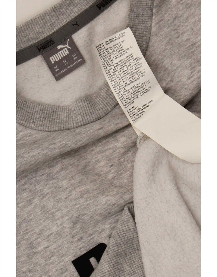 Puma Mens Graphic Sweatshirt Jumper XS Grey Cotton