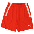 Puma Mens Sport Shorts Medium Red Colourblock Polyester