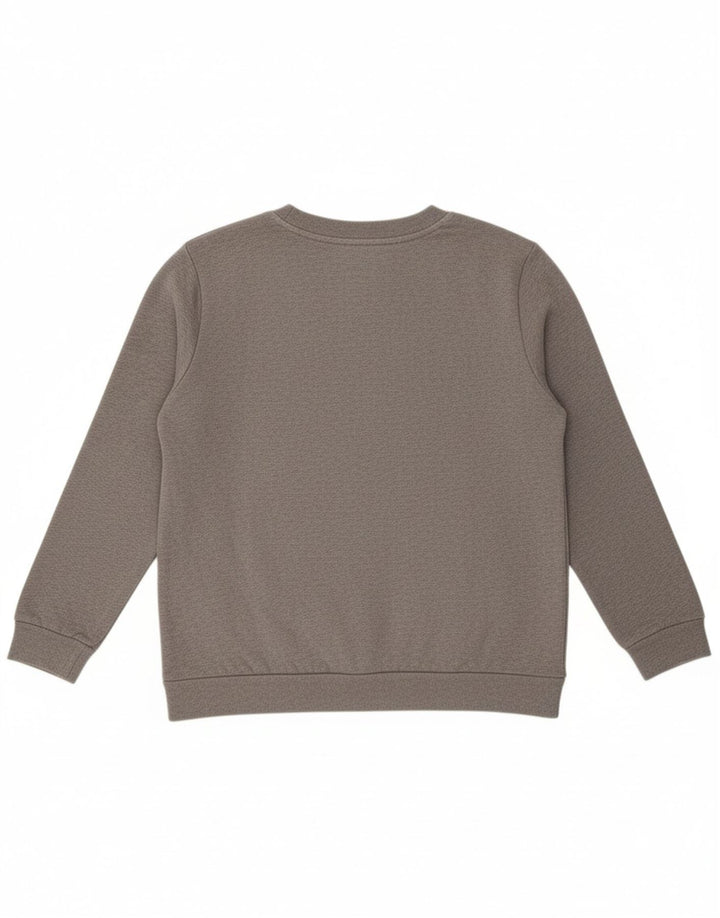 CALVIN KLEIN JEANS Mens Graphic Sweatshirt Jumper Large Grey Cotton