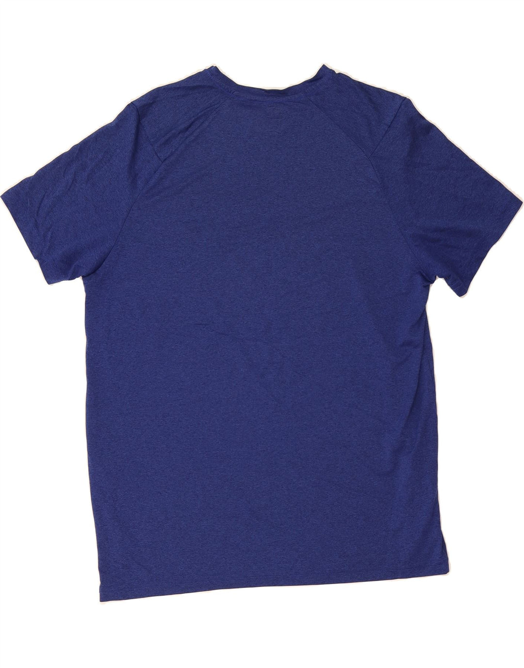 RUSSELL ATHLETIC Mens T-Shirt Top Large Blue Polyester Vintage Russell Athletic and Second-Hand Russell Athletic from Messina Hembry 