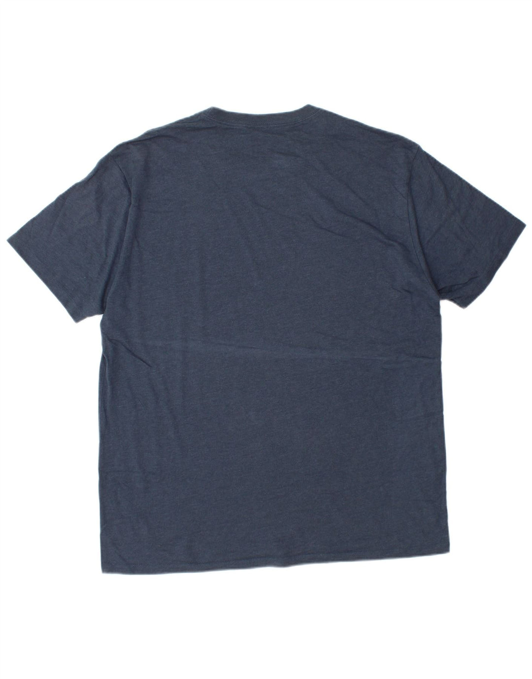 EDDIE BAUER Mens Graphic T-Shirt Top Large Blue Cotton