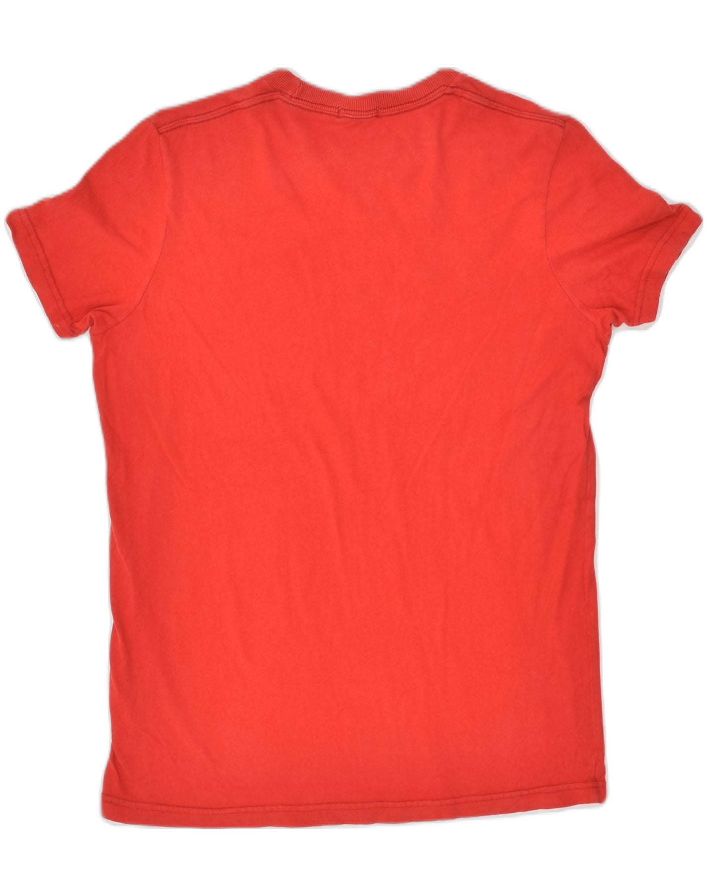 HOLLISTER Mens Graphic T-Shirt Top Small Red Cotton, Vintage & Second-Hand  Clothing Online