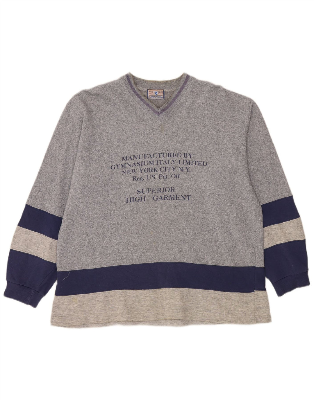 Gymnasium Mens Graphic Sweatshirt Jumper Large Blue Colourblock