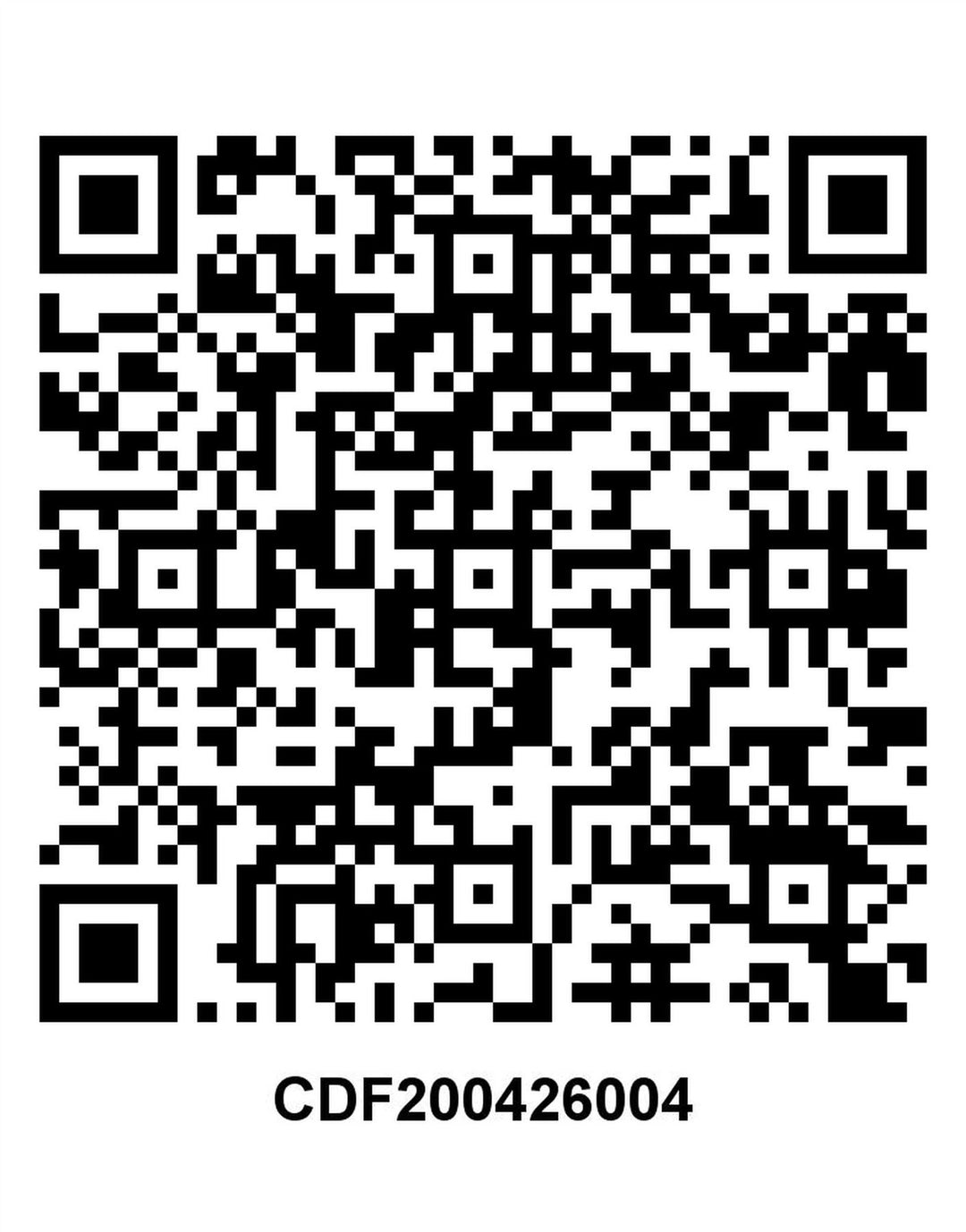 Zara Mens Sport Shorts Medium Green Polyester