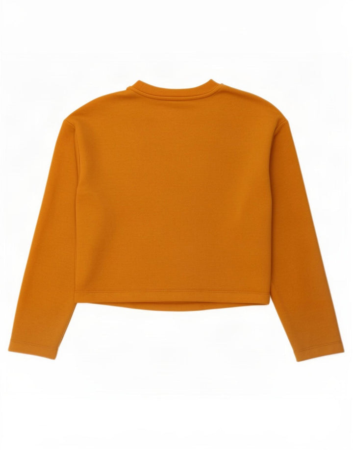 Zara Womens Crop Top Long Sleeve UK 10 Small Beige Polyester