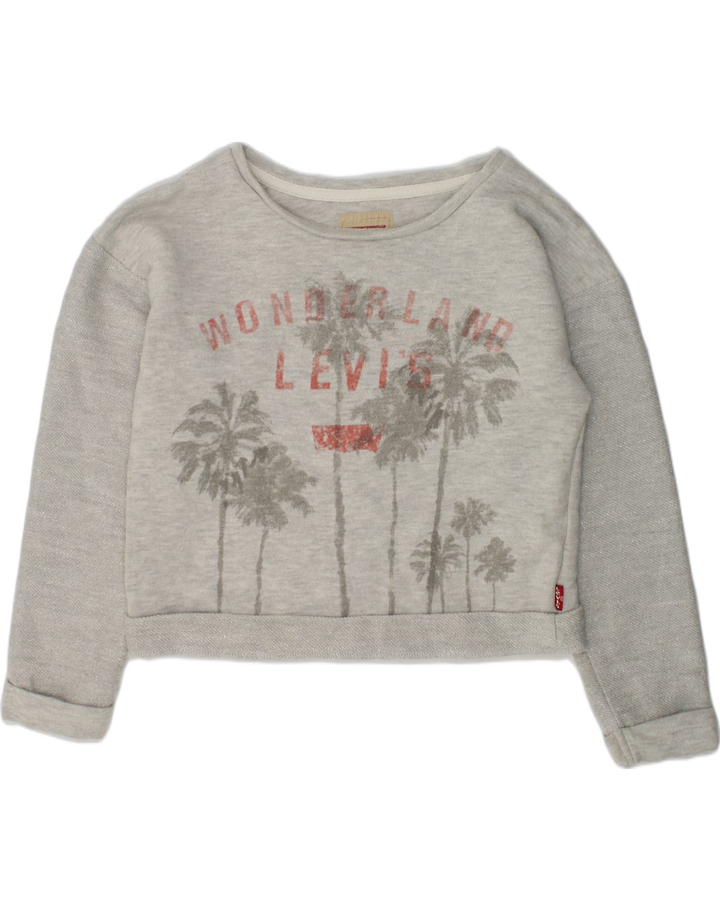 Girls on sale levi jumper