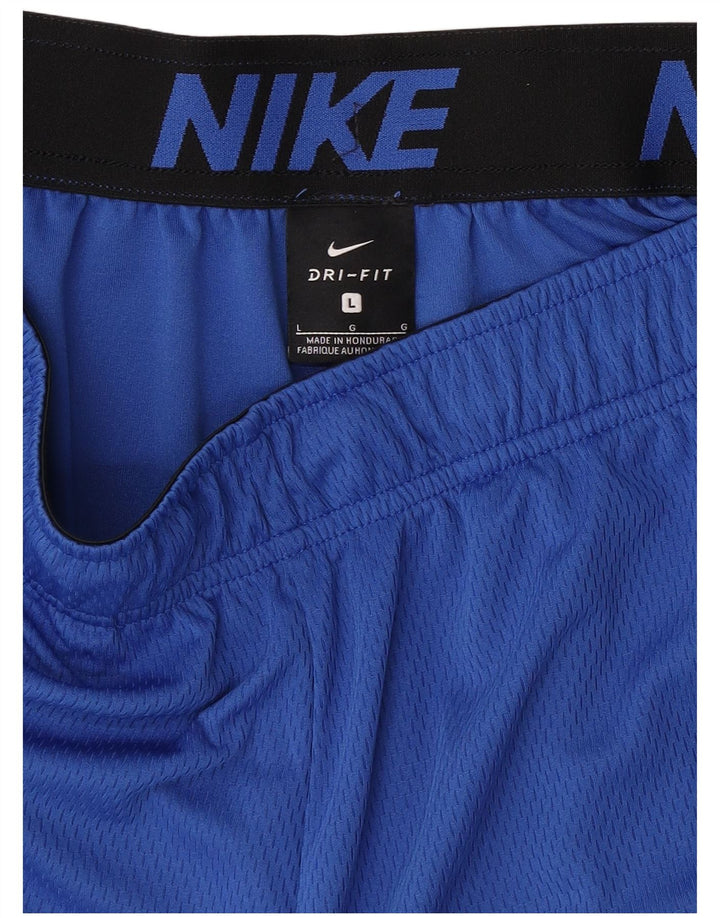 Nike Mens Sport Shorts Large Blue