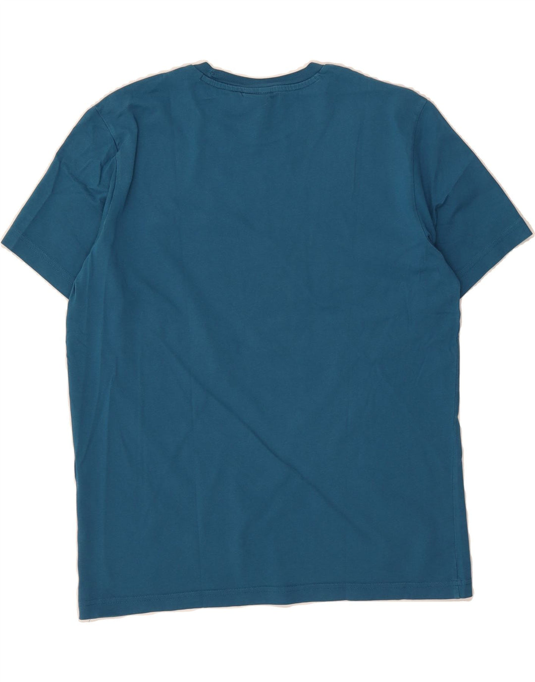 CHAMPION Mens Graphic T-Shirt Top Large Blue Cotton Vintage Champion and Second-Hand Champion from Messina Hembry 