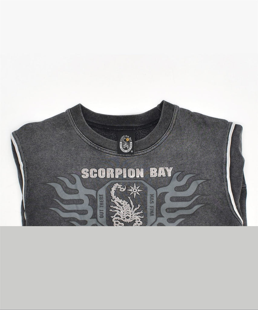 SCORPION BAY Boys Graphic Sweatshirt Jumper 12-13 Years Grey Cotton | Vintage | Thrift | Second-Hand | Used Clothing | Messina Hembry 