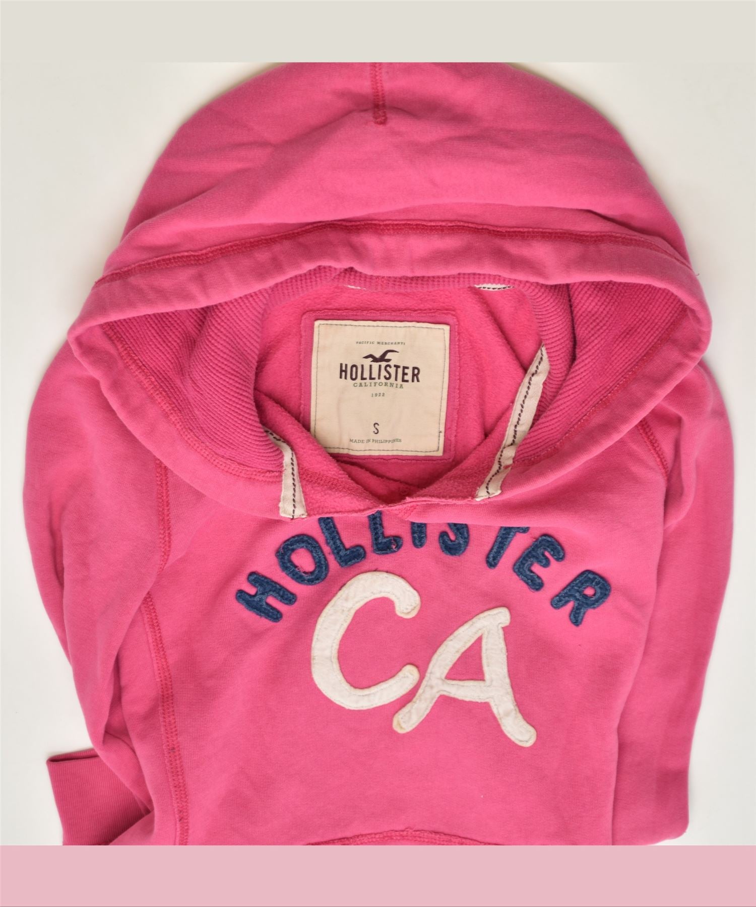 Hollister on sale girl hoodies